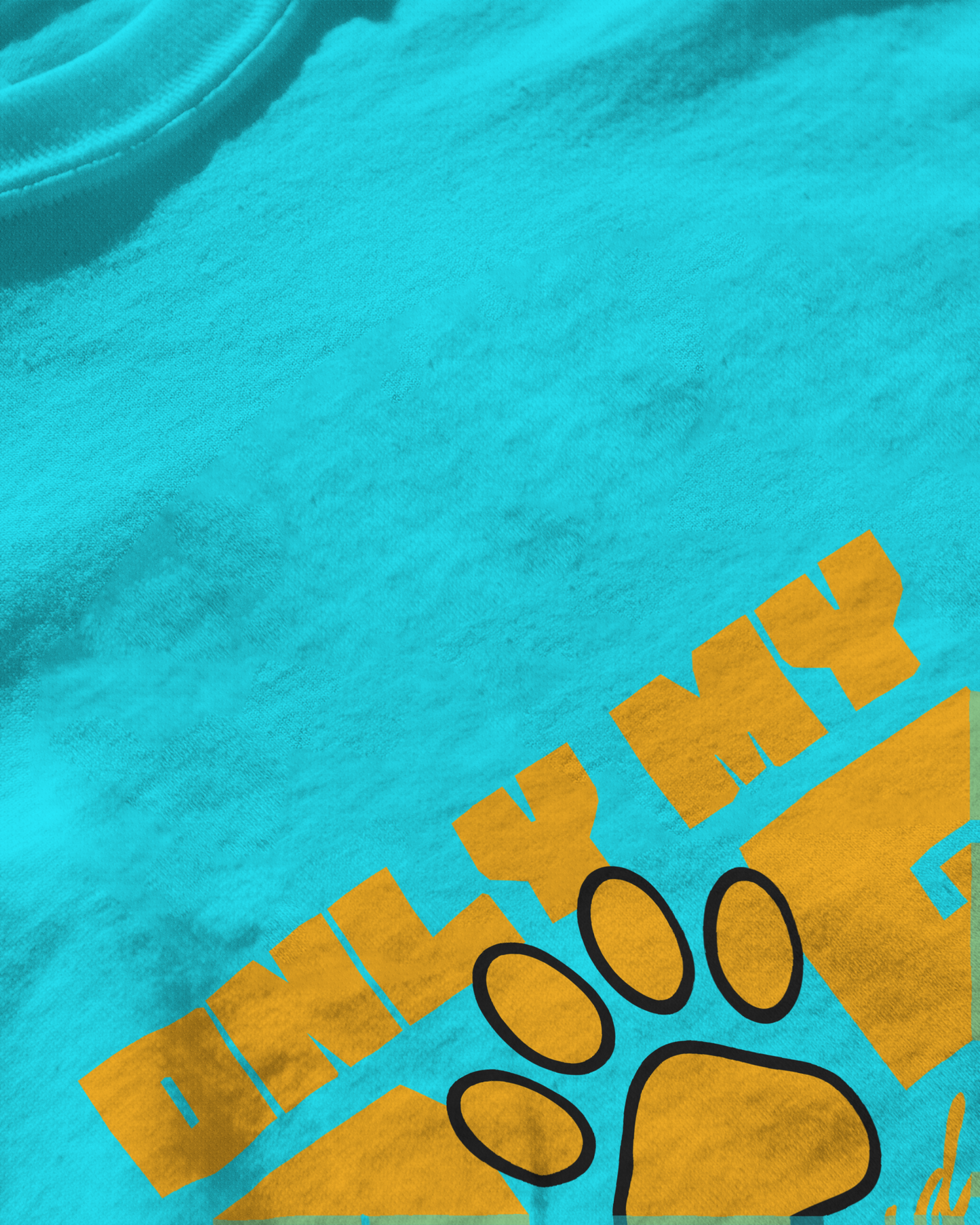Only My Dog Understands Me | Regular Fit ♤ Sky blue shade